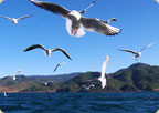 丽江泸沽湖